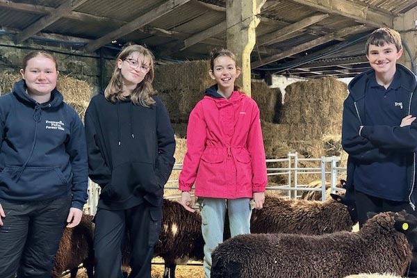 Voactional courses for home educated teens Dover Kent, teens in thebarn at lambing time