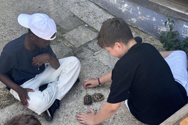 Nature nook home education programme, two boys feeding the tortoise at frampton farm Dover